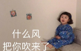 《哔哩哔哩》我想要两颗西柚梗的来源及出处