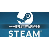 《steam》密码符合要求的举例