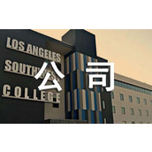 咨询公司工作自我鉴定