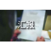 统计工作汇报