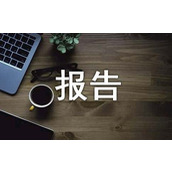 个人工作作风的报告