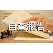 个人工作作风自查报告