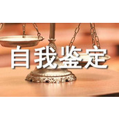 对工作自我鉴定
