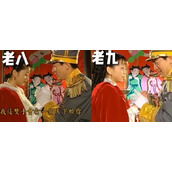 《抖音》陆振华公式结婚梗的来源及出处