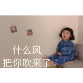 《哔哩哔哩》我想要两颗西柚梗的来源及出处