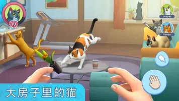 我的宠物猫模拟器游戏安装
