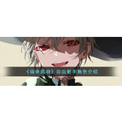 《宿命回响》自由射手角色介绍