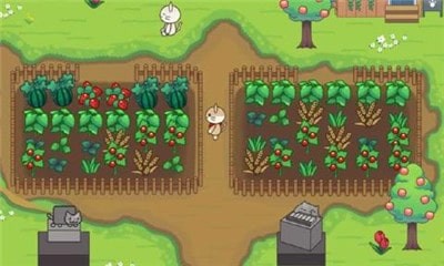 猫猫树林游戏下载
