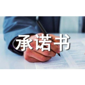 业绩承诺书
