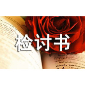 盗窃检讨书
