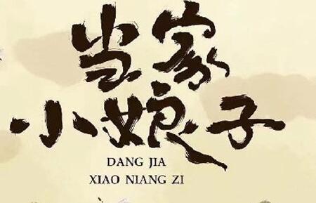 《当家小娘子》电视剧讲述了什么故事