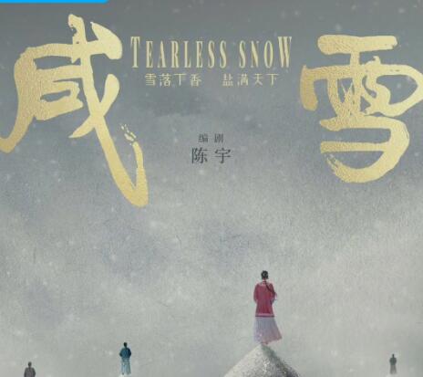 《咸雪》电视剧讲述了什么故事