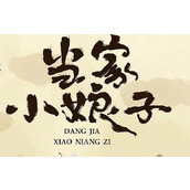 《当家小娘子》电视剧讲述了什么故事