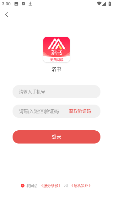 洛书小说