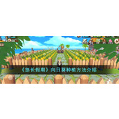 《悠长假期》向日葵种植方法介绍