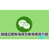 微信已把帐号改为账号怎么改