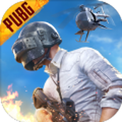 PUBG小炎安装包