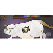猫博物馆刷猫毛玩法攻略分享