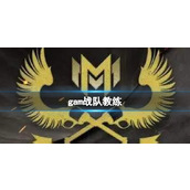 《英雄联盟》gam战队教练组介绍