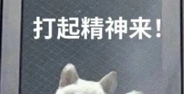 《抖音》夏日炎炎野猪下田梗的来源及出处