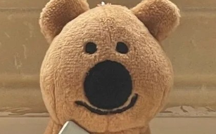 《哔哩哔哩》挨打要立正梗的来源及出处