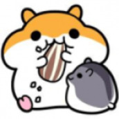 仓鼠收集安卓下载