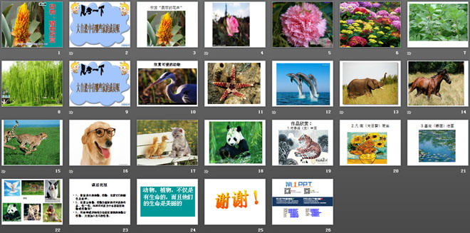 《动物、植物欣赏》PPT课件2