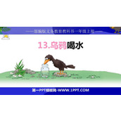 《乌鸦喝水》PPT免费精品课件