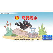 《乌鸦喝水》PPT优质教学课件