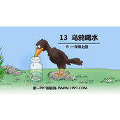 《乌鸦喝水》PPT教学课件