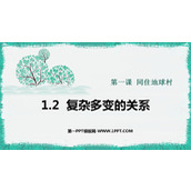 《复杂多变的关系》PPT优质教学课件