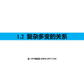 《复杂多变的关系》PPT免费教学课件