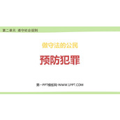 《预防犯罪》PPT免费精品课件