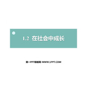 《在社会中成长》PPT优秀教学课件