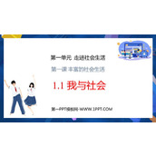 《我与社会》PPT优秀免费课件