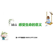 《感受生命的意义》PPT免费课件下载
