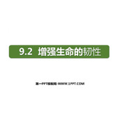 《增强生命的韧性》PPT优秀免费课件