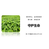 《守护生命》PPT优质教学课件