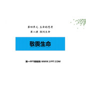 《敬畏生命》PPT优秀课件下载