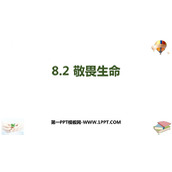 《敬畏生命》PPT优质课件下载
