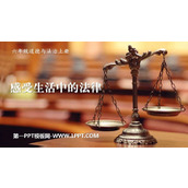 《感受生活中的法律》PPT课件下载