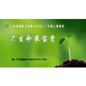 《生命最宝贵》PPT免费下载