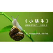《小蜗牛》PPT免费课件