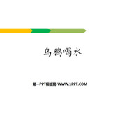 《乌鸦喝水》PPT优秀课件