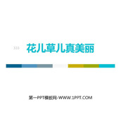《花儿草儿真美丽》PPT免费下载