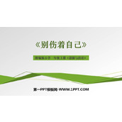 《别伤着自己》PPT精品课件下载