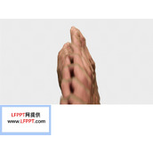 流畅手势动画ppt特效动画