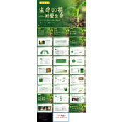生命教育认识生命珍爱生命安全教育主题班会PPT模板