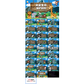 保护动物主题班会ppt小学