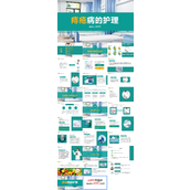 痔疮病的护理PPT